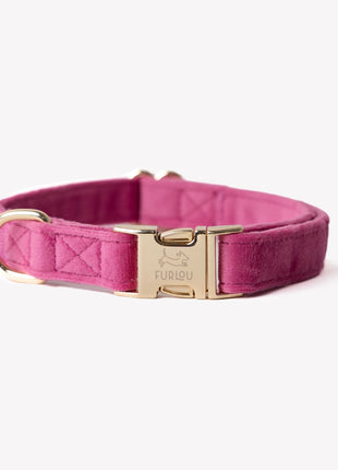 'Magenta' - Velvet Dog Collar
