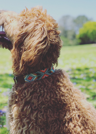 Biarritz Sambboho dog collar