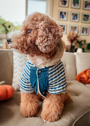 Parisian Pet 'Denim Striped' Hoodie, Blue for Dogs & Cats – Soft, Stylish Pet Apparel