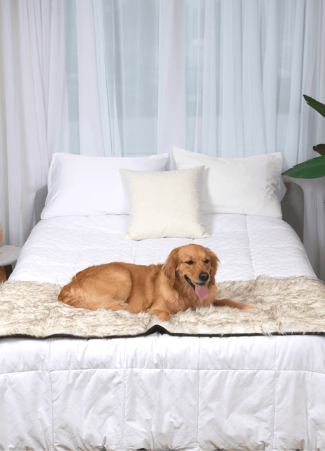 PupProtector™ Waterproof Bed Runner - White with Brown Accents