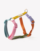 Rainbow - Dog Harness
