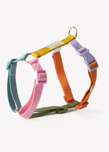 Rainbow - Dog Harness
