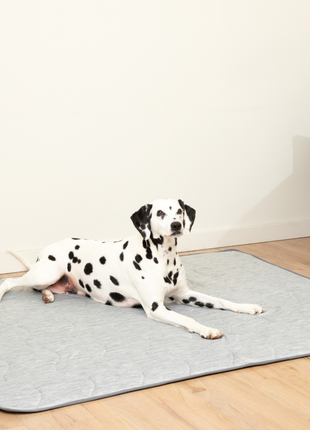 PupChill™ Cooling Waterproof Blanket - Arctic Grey