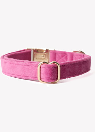 'Magenta' - Velvet Dog Collar