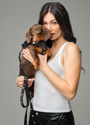 3-in-1 City Dog Leash - Rockstar