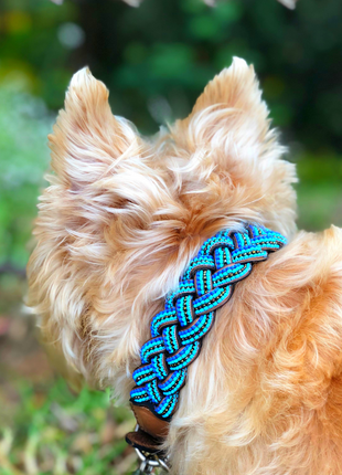 Blue Braided Sambboho dog collar