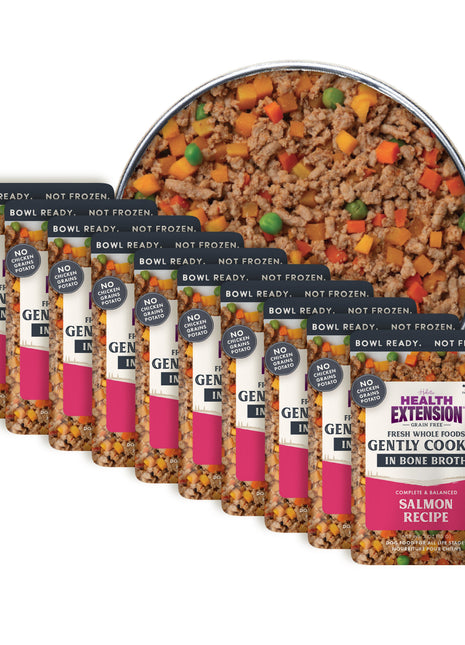 Gently Cooked Grain Free Salmon Recipe