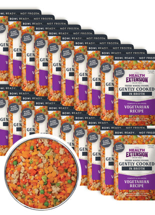 Gently Cooked Grain Free Vegetarian Recipe
