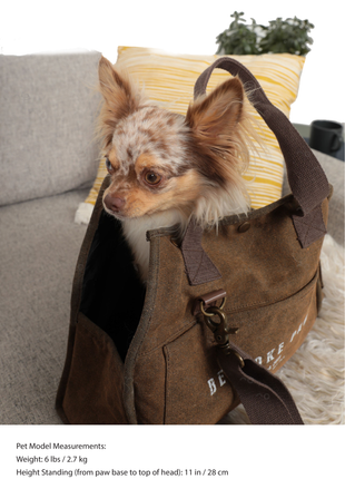 The Daily Carrier—Packable Luxury for Life on the Go - Pup List