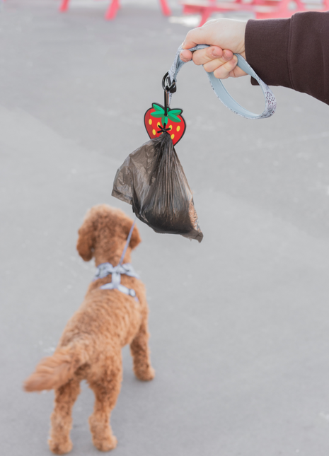 Strawberry Poopy Loop®