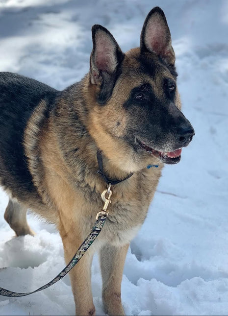 Camo Title | 4' Leash