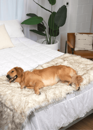 PupProtector™ Waterproof Bed Runner - White with Brown Accents