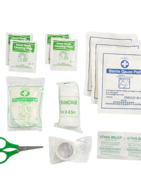 19-Piece Pet Travel First Aid Kit with Carabiner - Compact Emergency Care for Adventurous Pets