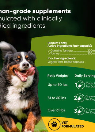 Cardio Support - Pup List