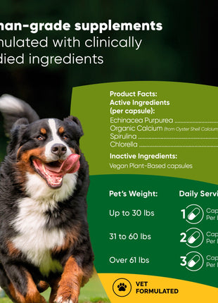 Natural Immunity - Pup List