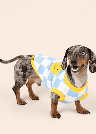 Dog Cotton Smiley Tee