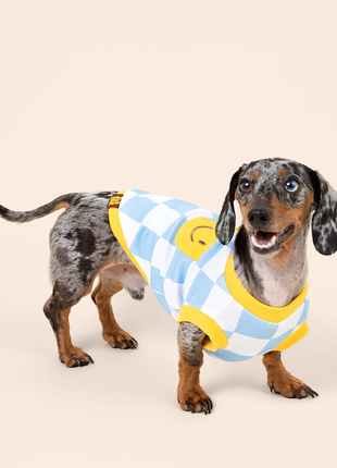 Dog Cotton Smiley Tee
