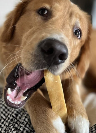 Himalayan Yak Chew (EXTRA LARGE)