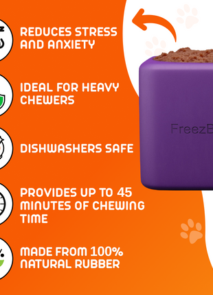 Freezbox - Super Tough Treat Toy