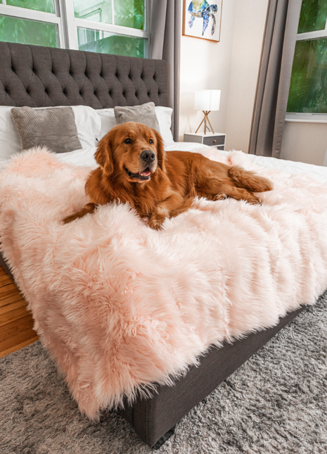 PupProtector™ Waterproof Throw Blanket - Blush Pink