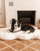 PupRug by Paw.com® Faux Fur Orthopedic Dog Bed - Curve Polar White