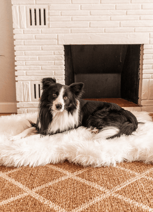 PupRug by Paw.com® Faux Fur Orthopedic Dog Bed - Curve Polar White