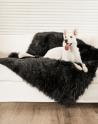 PupProtector™ Waterproof Throw Blanket - Midnight Black