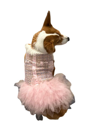 Mademoiselle Coco Tutu, Multicolor Pink