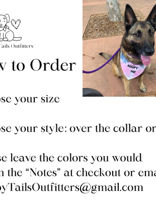 Adopt Me I'm A Foster Tie Dye Dog Bandana New Arrival