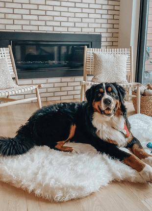 PupRug by Paw.com® Faux Fur Orthopedic Dog Bed - Curve Polar White