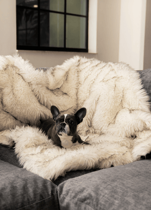 PupProtector™ Waterproof Throw Blanket - White with Brown Accents