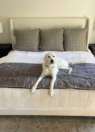 PupProtector™ Luxe Waterproof Bed Runner - Ultra Soft Chinchilla