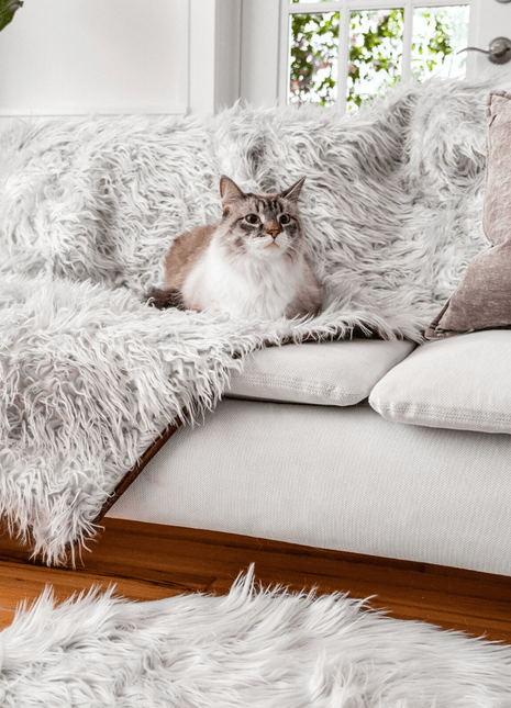 CatNap™ Anti-Scratch & Waterproof Throw Blanket - Grey