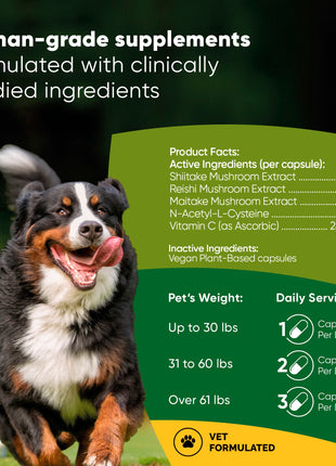 Natural Immunity - Pup List