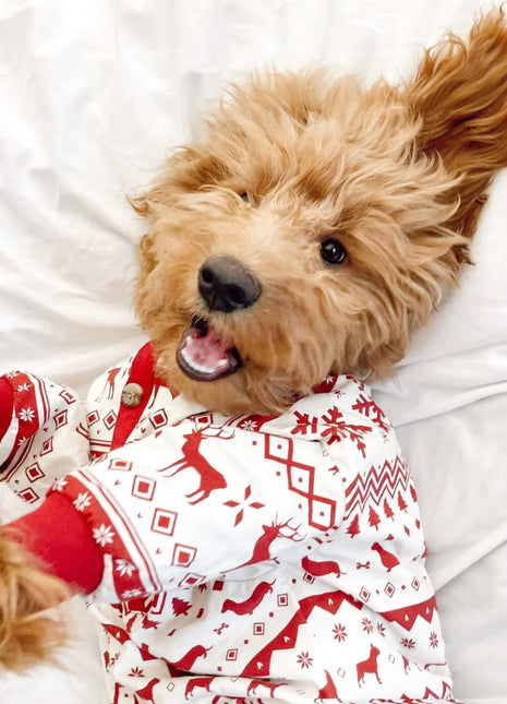 Festive Fam Holiday Pajama (Only Dog & Kid Sizes Left)