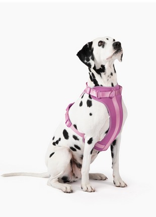 Harness - Pup List