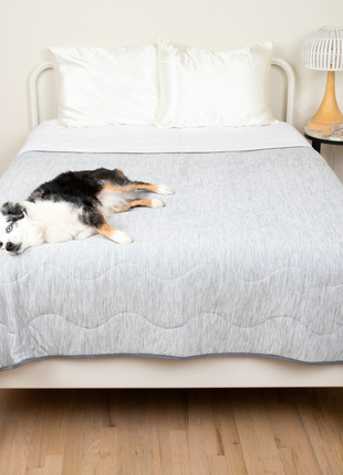 PupChill™ Cooling Waterproof Blanket - Arctic Grey