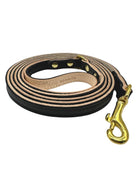 Plain Leather Dog Leashes