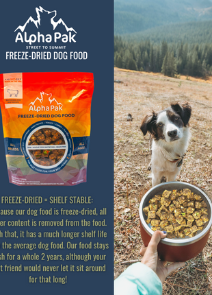PREMIUM RAW FREEZE DRIED DOG FOOD BEEF
