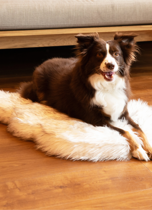 PupRug by Paw.com® Faux Fur Orthopedic Dog Bed - Curve White with Brown Accents
