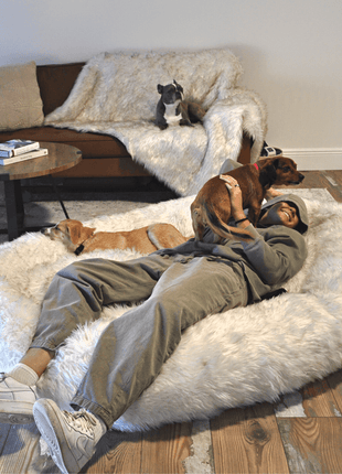 PupCloud™ Human-Size Faux Fur Memory Foam Dog Bed - White with Brown Accents