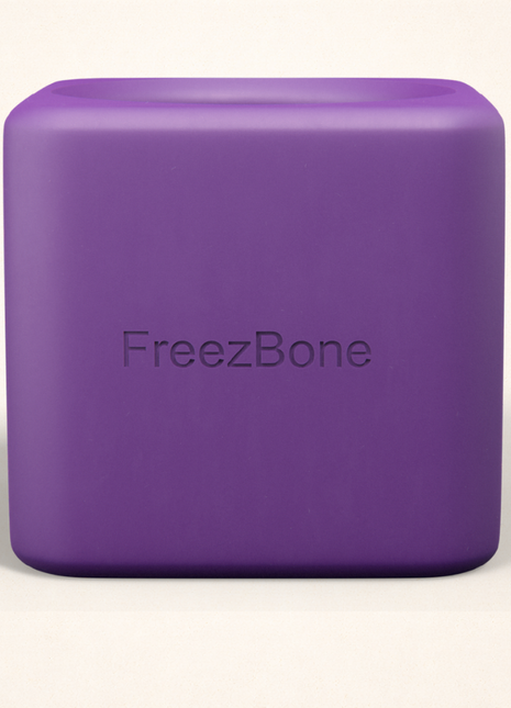 Freezbox - Super Tough Treat Toy