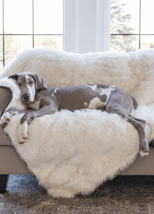 PupProtector™ Waterproof Throw Blanket - White with Brown Accents