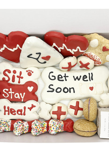 Get Well Soon Themed Dog Treats Gift Box
