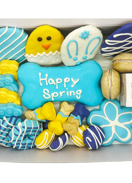 Spring Themed Dog Treats Gift Box
