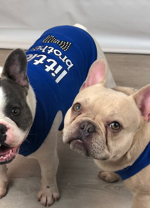 Parisian Pet 'Big Brother' Embroidered Pet T-Shirt – Cute Sibling Announcement Dog Shirt for Dogs & Cats, Blue