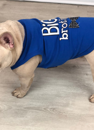 Parisian Pet 'Big Brother' Embroidered Pet T-Shirt – Cute Sibling Announcement Dog Shirt for Dogs & Cats, Blue