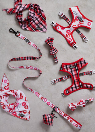 Smooch My Pooch Reversible Harness