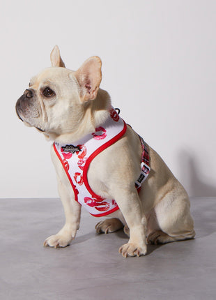 Smooch My Pooch Reversible Harness