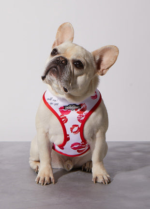 Smooch My Pooch Reversible Harness